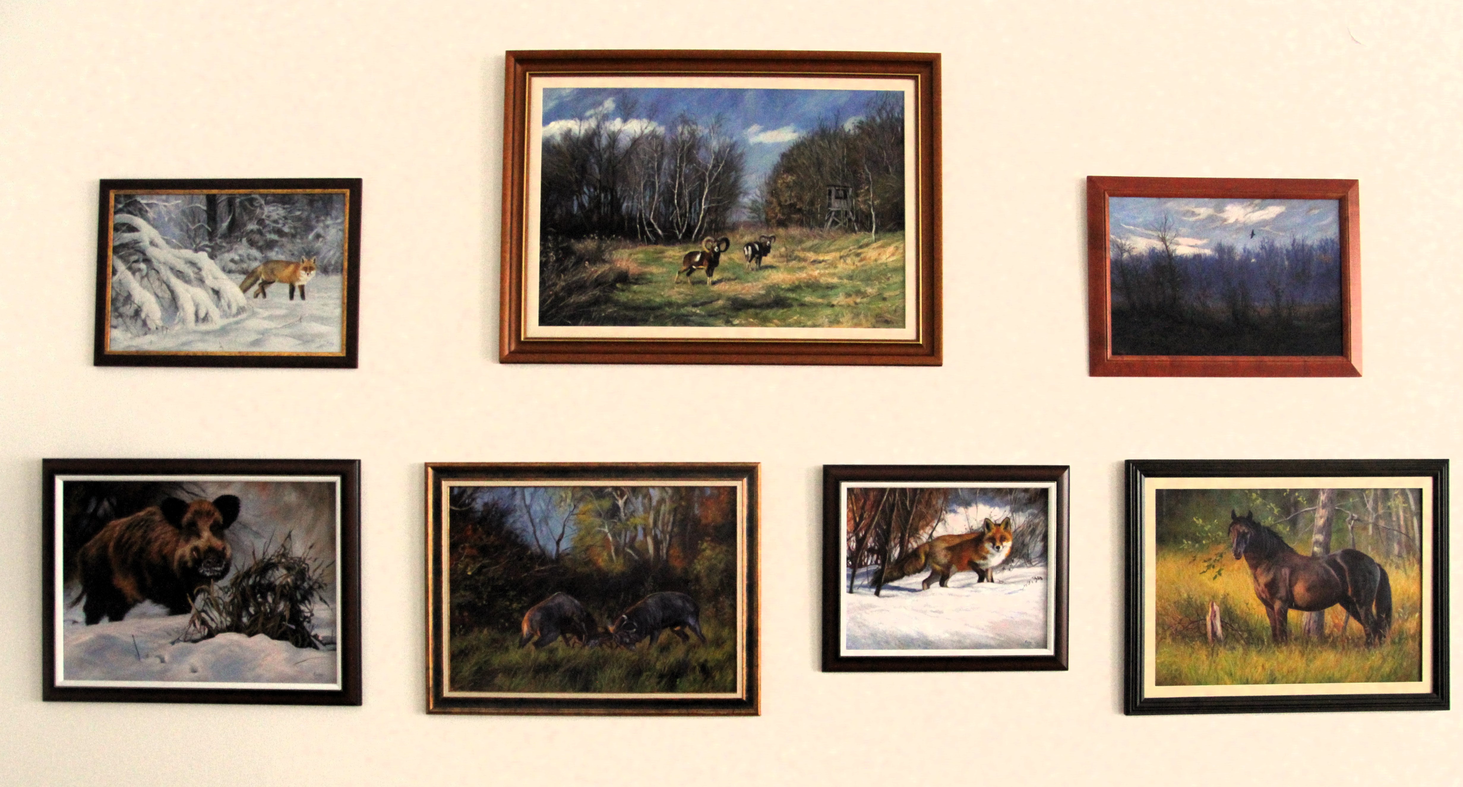 Színekből épülő természet - Kalas András kiállítása