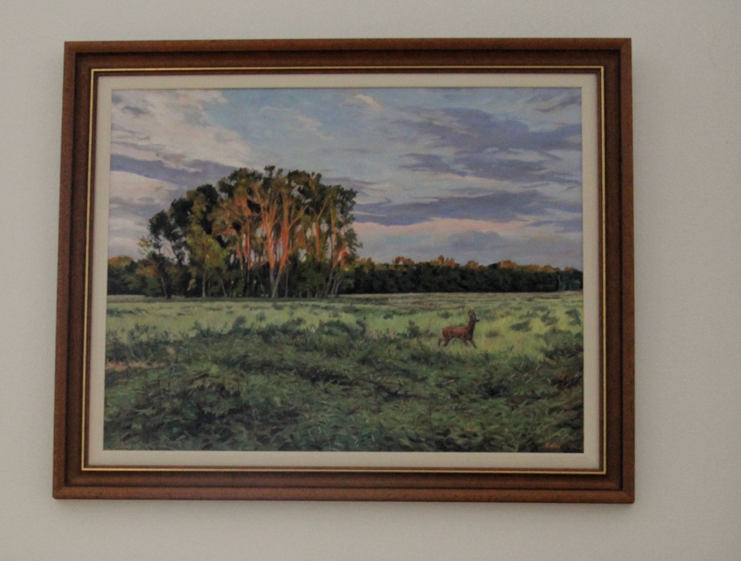 kivágott.jpg kivágott.jpg